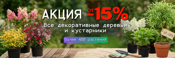 декор от -15%