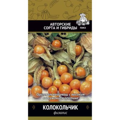 Физалис колокольчик Физалис колокольчик фото