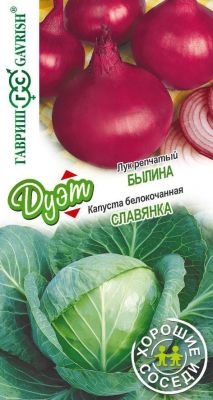 Капуста б/к Славянка + Лук репчатый Былина фото