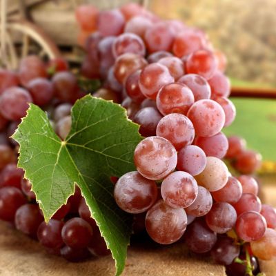 Виноград Зарево - Dolina-Sad.Ru