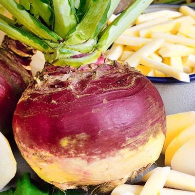 Брюква Гера (А) (ЦВ) 0,5гр. Брюква Гера (А) (ЦВ) 0,5гр. фото