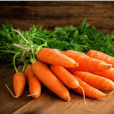 Морковь Нантская 4 фото